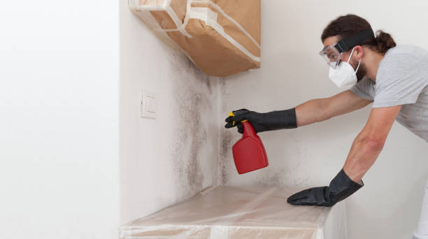Professional Mold Cleanup technician working in Allentown, NJ
