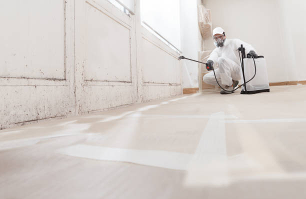 24/7 Emergency Mold Cleanup experts in Allentown, NJ