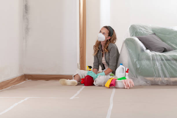 Reliable Mold Cleanup contractor in Allentown, NJ by Cheap Mold Removal